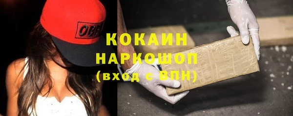 дживик Ладушкин