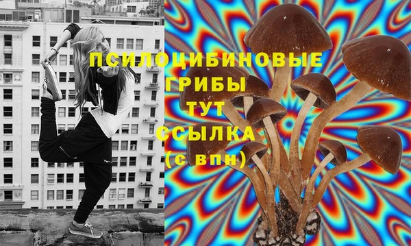 MDMA Лагань