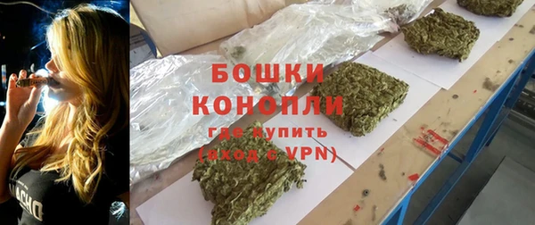 стаф Лабытнанги