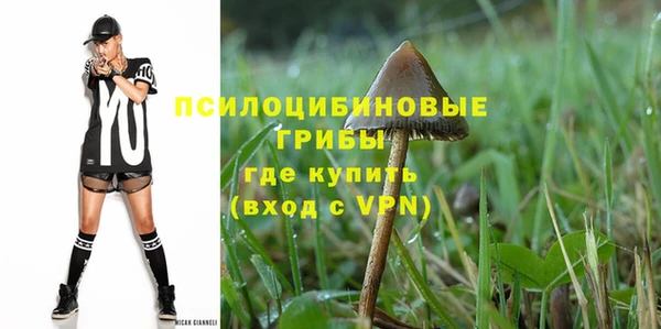 дживик Ладушкин