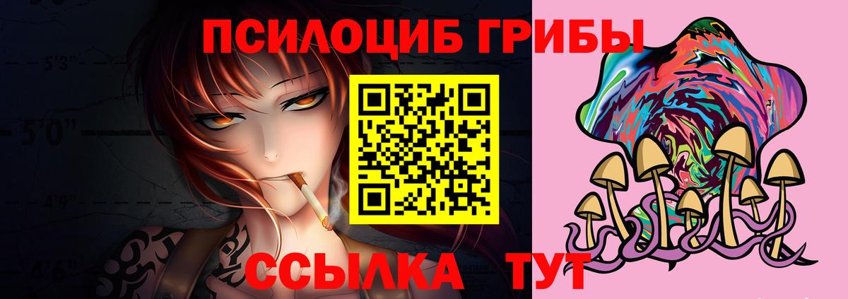 Галлюциногенные грибы Psilocybe  продажа наркотиков  Лосино-Петровский 