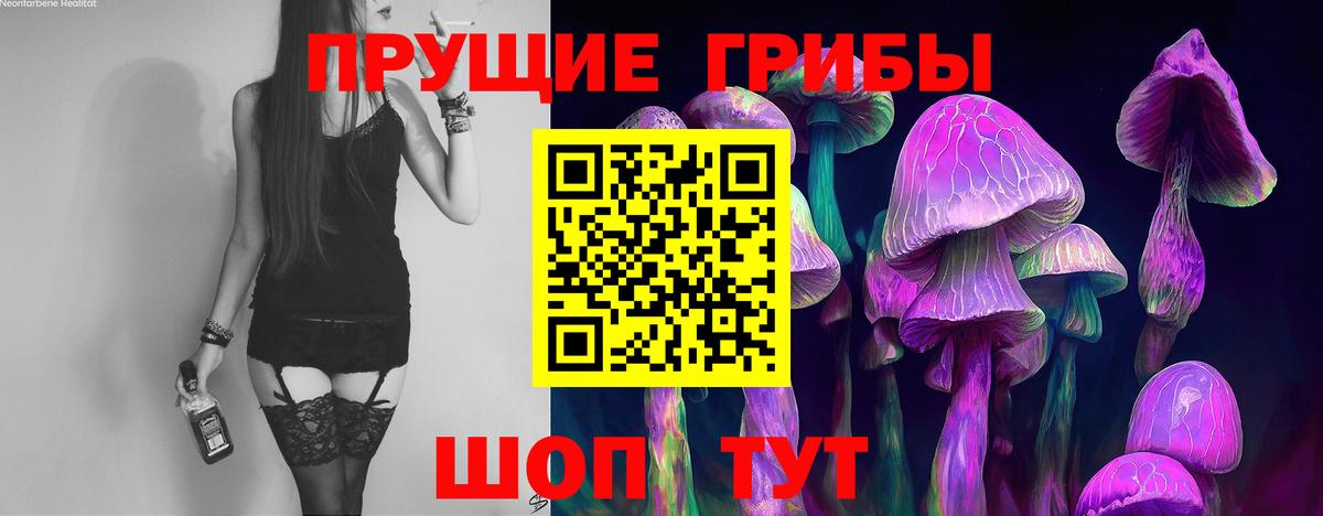 Псилоцибиновые грибы мицелий Лосино-Петровский